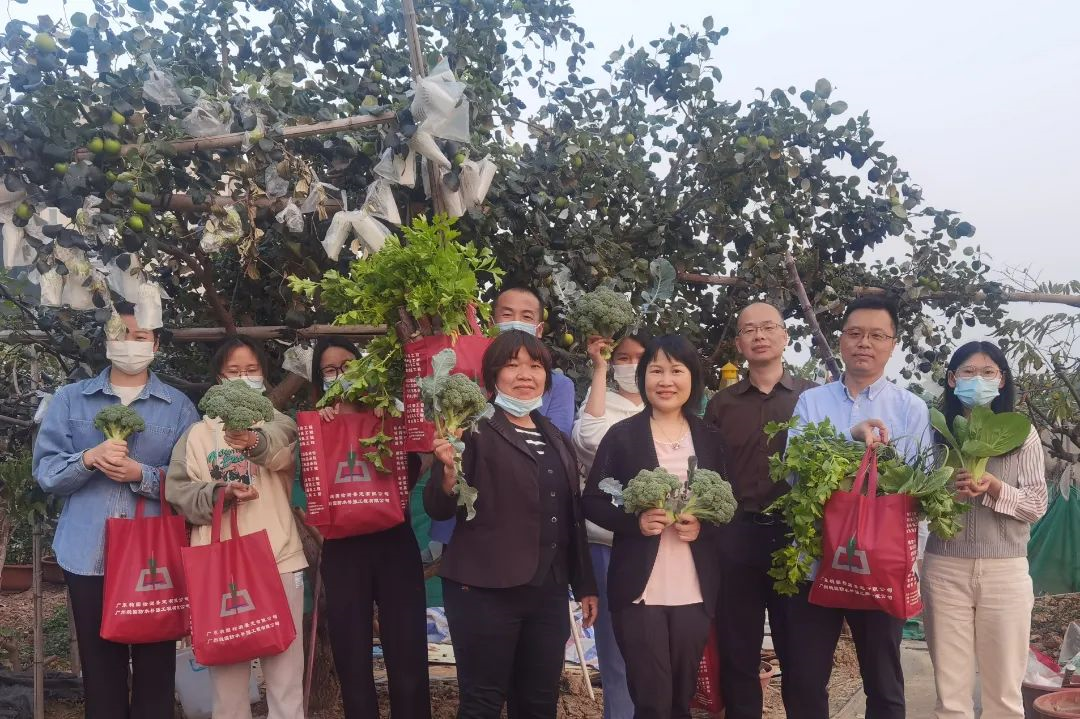 cq9电子在线登录集团组织员工采摘活动